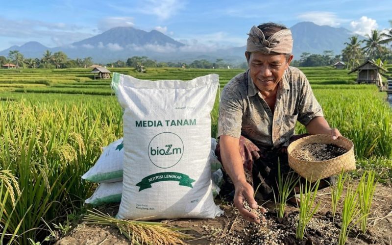 media tanam